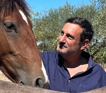 profile image of Francisco Barrento